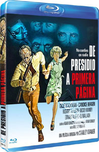 The Domino Principle | The Domino Killings  Blu-Ray
